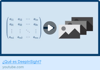 DeepInsight-Spanish: 2021